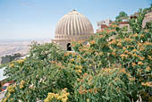 Mardin, Kasim Pasa Medresesi